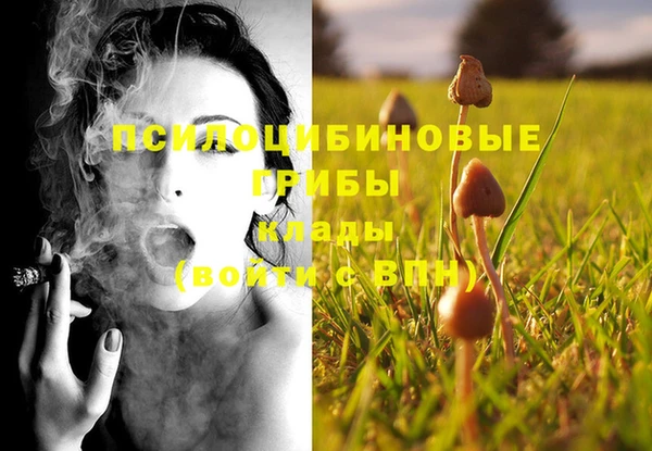 бошки Балахна