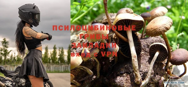 бошки Балахна