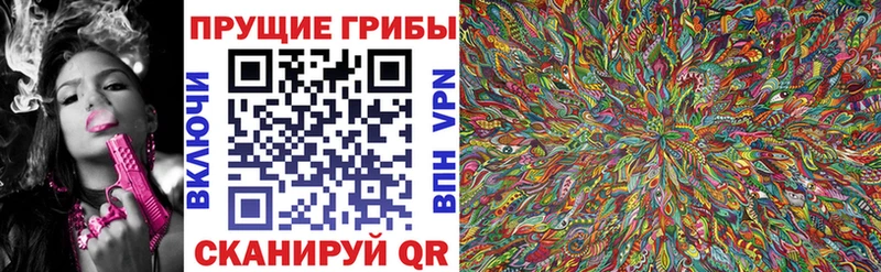 Галлюциногенные грибы GOLDEN TEACHER Верея